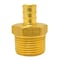Apollo 1/2 in. Brass PEX Barb x 3/4 in. Male Pipe Thread Reducing Adapter APXMA3412 - alternate 2